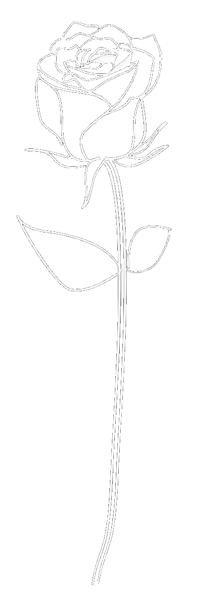 Rose Drawing